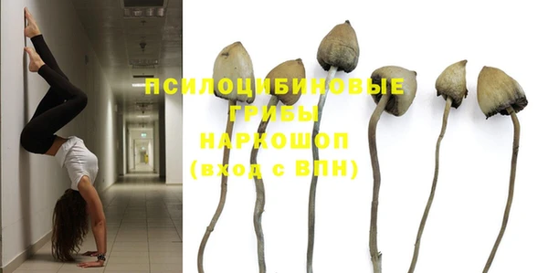 винт Семёнов